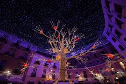 4474-Salerno e le luci d’Artista Le scintillanti atmosfere del Natale