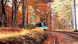 3548-Treno del Foliage in Val Vigezzo - Da Locarno a Domodossola