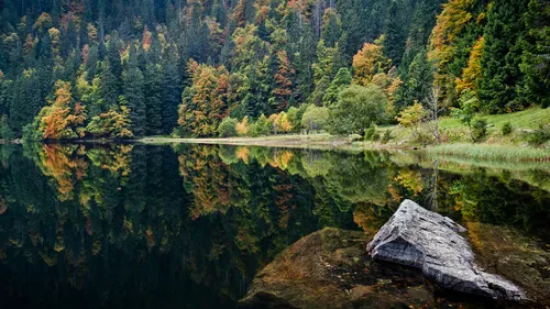 Incanto della Foresta nera tra orologi a Cucù e le Cascate di Triberg 