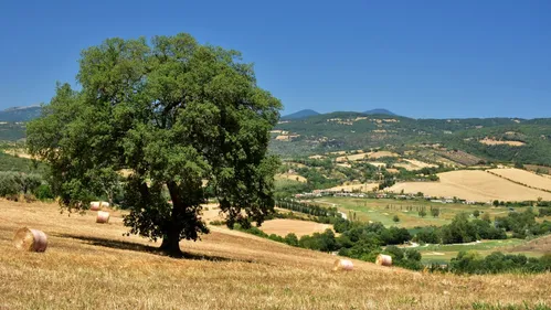 Autunno in Maremma tra borghi e delizie gastronomiche