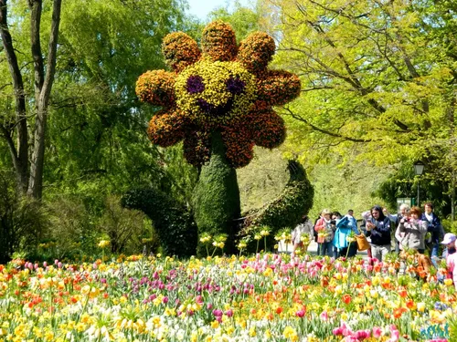 Alla Scoperta dell’Isola di Mainau E il lago di Costanza