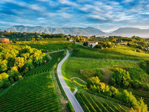 La strada del prosecco: tour storico-gastronomico e visita alle cantine con Stefania Morandi