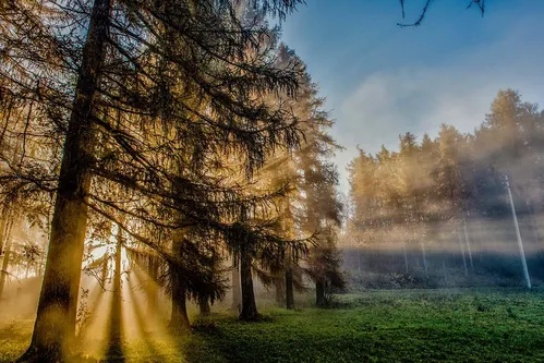 Bagno di Bosco al Pian dei Resinelli e visita alle antiche miniere