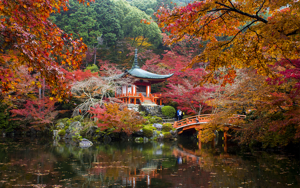 Grand Tour del Giappone durante il foliage con Stefania Morandi