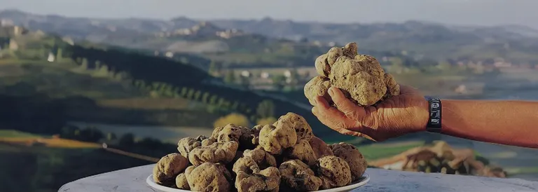 Alba Enogastronomica: Fiera del Tartufo, vini e prodotti tipici e il “Baccanale dei Borghi”