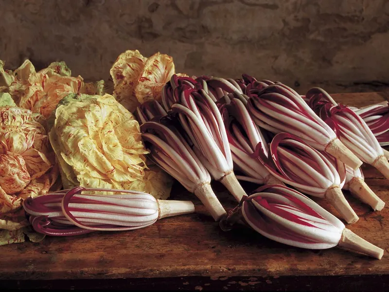 La strada del Radicchio di Treviso