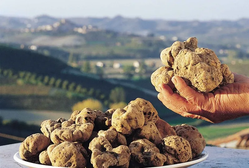 Alba Enogastronomica: Fiera del Tartufo, vini e prodotti tipici e il “Baccanale dei Borghi”