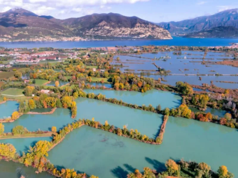 Alla scoperta delle Torbiere del Sebino e il lago d’Iseo